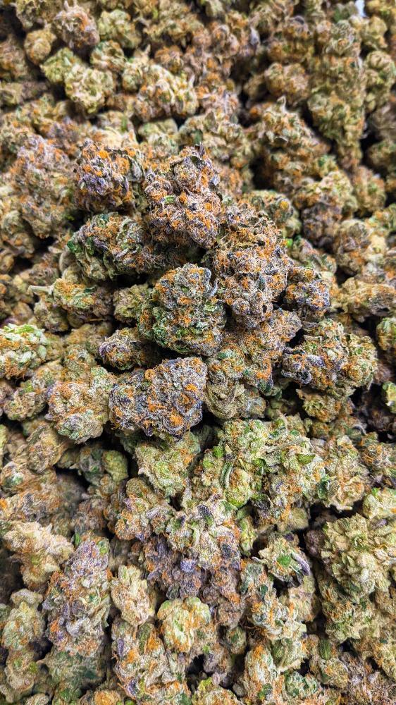 Pie Crust | Grow West - Trimmed